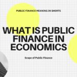 What is Public Finance in Economics