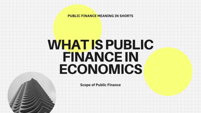 What is Public Finance in Economics