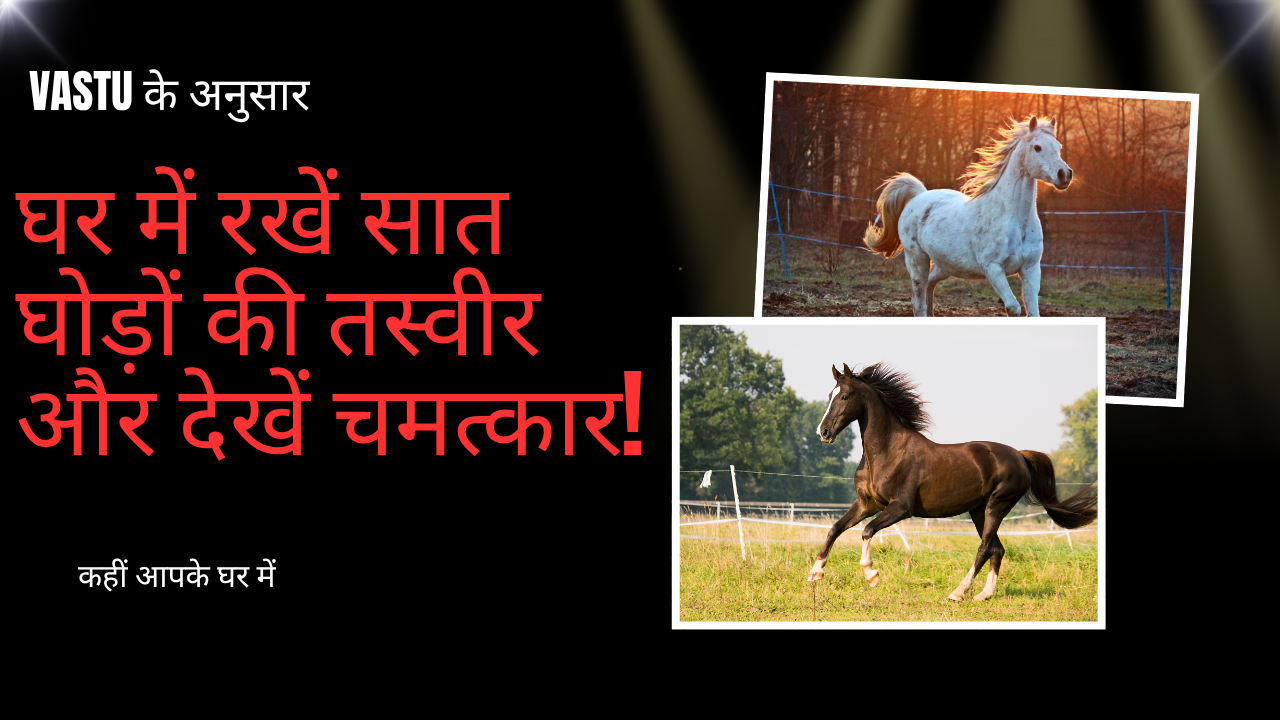 Saat Ghode Ki Tasvir Kahan Lagani Chahiye